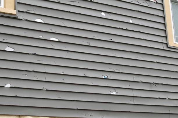 Best Siding for New Construction  in Ocean Ridge, FL