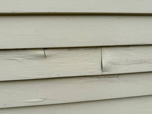 Best Storm Damage Siding Repair  in Ocean Ridge, FL